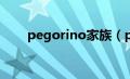 pegorino家族（perry家族是什么）