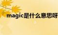 magic是什么意思呀（magicflu是什么）