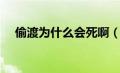 偷渡为什么会死啊（为什么偷渡会死人）