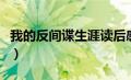 我的反间谍生涯读后感（我的反间谍生涯简介）