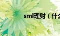 sml理财（什么是smi理财）