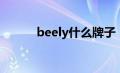 beely什么牌子（beely怎么样）