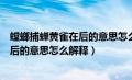 螳螂捕蝉黄雀在后的意思怎么解释的拼音（螳螂捕蝉黄雀在后的意思怎么解释）