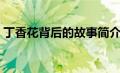 丁香花背后的故事简介（丁香花背后的故事）