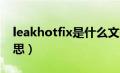 leakhotfix是什么文件夹（HotFix是什么意思）