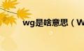 wg是啥意思（WGA是什么意思）