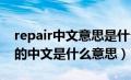 repair中文意思是什么意思啊（repairwear的中文是什么意思）