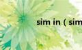 sim in（simsim是什么）