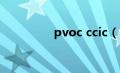 pvoc ccic（PVOC简介）