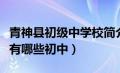 青神县初级中学校简介（眉山市青神县县城里有哪些初中）