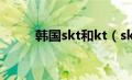 韩国skt和kt（skt和kt什么关系）