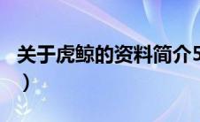 关于虎鲸的资料简介500字（关于虎鲸的资料）