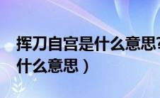 挥刀自宫是什么意思?类似的话（挥刀自宫是什么意思）