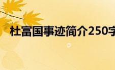 杜富国事迹简介250字（杜富国事迹简介）