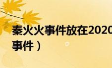 秦火火事件放在2020年该怎么判决（秦火火事件）