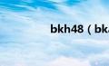 bkh48（bka48是什么）