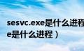 sesvc.exe是什么进程（zhudongfangyu.exe是什么进程）