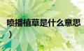 喷播植草是什么意思（喷摩丝的稻草人是什么）