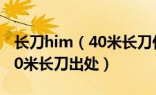 长刀him（40米长刀什么梗腾讯新闻女子持40米长刀出处）