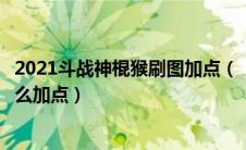 2021斗战神棍猴刷图加点（《斗战神》棍猴技能加点攻略怎么加点）