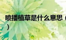 喷播植草是什么意思（喷摩丝的稻草人是什么）