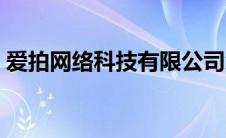 爱拍网络科技有限公司怎么样（爱网拍简介）