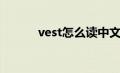 vest怎么读中文（vest怎么读）