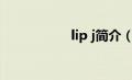 lip j简介（liso简介）