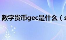 数字货币gec是什么（segg是什么数字货币）