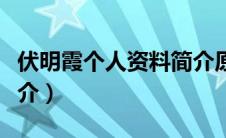 伏明霞个人资料简介原籍（伏明霞个人资料简介）