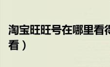 淘宝旺旺号在哪里看得到（淘宝旺旺号在哪里看）