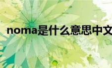 noma是什么意思中文（nomao什么意思）