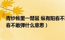 青纱帐里一琵琶 纵有阳春不敢弹（青纱帐里一琵琶,纵有阳春不敢弹什么意思）