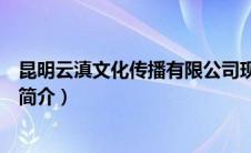 昆明云滇文化传播有限公司现在搬到哪里办公（云滇人才网简介）