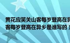 黄花应笑关山客每岁登高在异乡是什么节日（黄花应笑关山客每岁登高在异乡是谁写的）