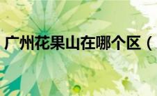 广州花果山在哪个区（广州花果山公园介绍）