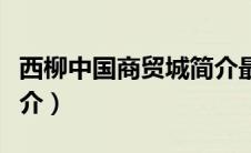 西柳中国商贸城简介最新（西柳中国商贸城简介）