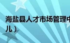 海盐县人才市场管理中心（海盐人才市场在哪儿）