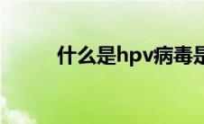 什么是hpv病毒是什么（什么是）