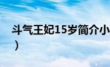 斗气王妃15岁简介小说（斗气王妃15岁简介）