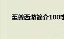 至尊西游简介100字（至尊西游简介）