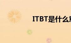 ITBT是什么意思（itbt）