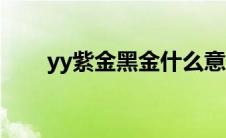 yy紫金黑金什么意思（yy紫金公会）