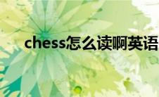 chess怎么读啊英语（chess怎么读啊）