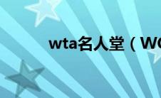 wta名人堂（WCG名人堂简介）