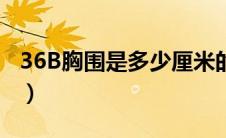 36B胸围是多少厘米的（36b胸围是多少厘米）