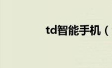 td智能手机（td手机简介）