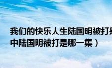 我们的快乐人生陆国明被打是第几集（《我们的快乐人生》中陆国明被打是哪一集）