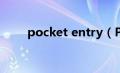 pocket entry（PocketDisk简介）