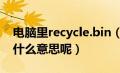 电脑里recycle.bin（RECYCLER在电脑中是什么意思呢）